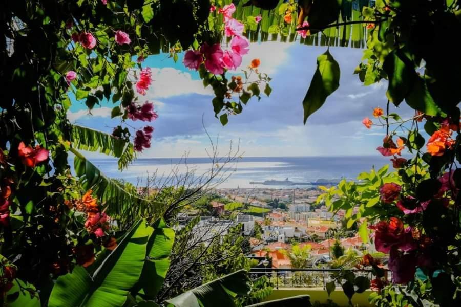 Granny'S House View Villa Funchal  Ngoại thất bức ảnh